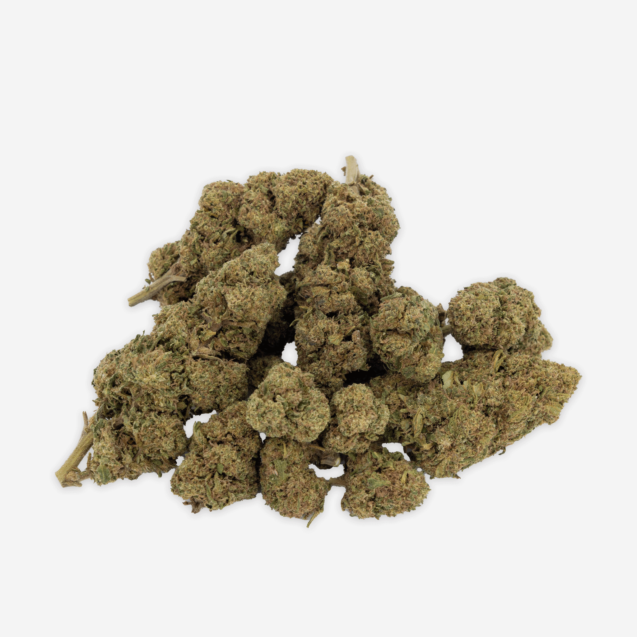 Blueten