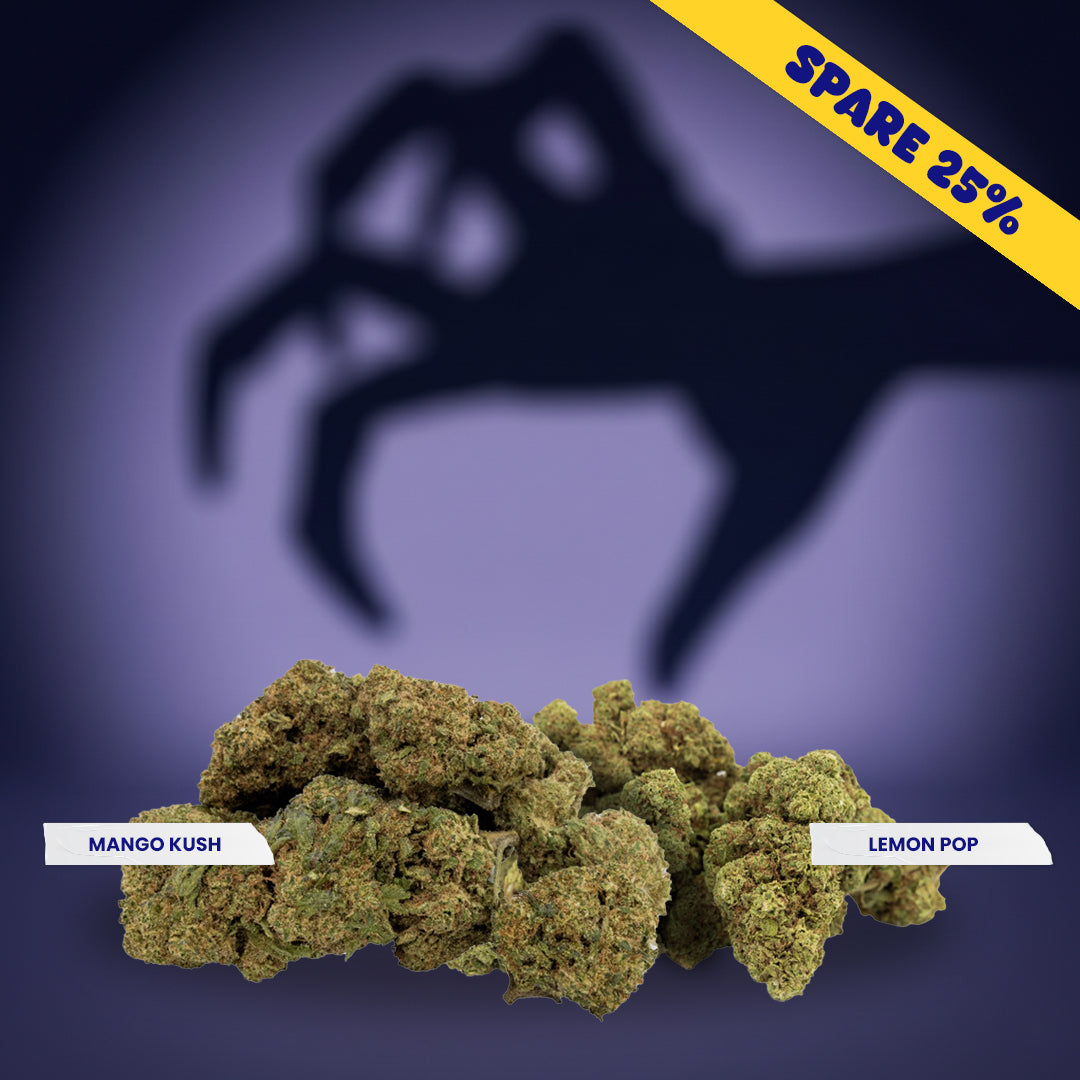 Zombie Mode Off – Focus Potion - 25% Rabatt